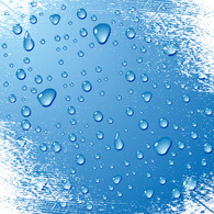 Blue water drops vector