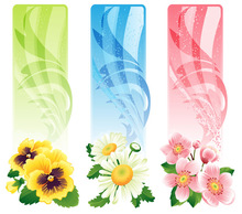 Flower banners vector