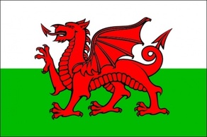 Animals Dragon Cymru Flag Wales Michae Cartoon Signs Symbols Flags Animal Welsh