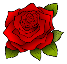 Rosa | Rose