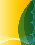 Yellow Green Vector Background